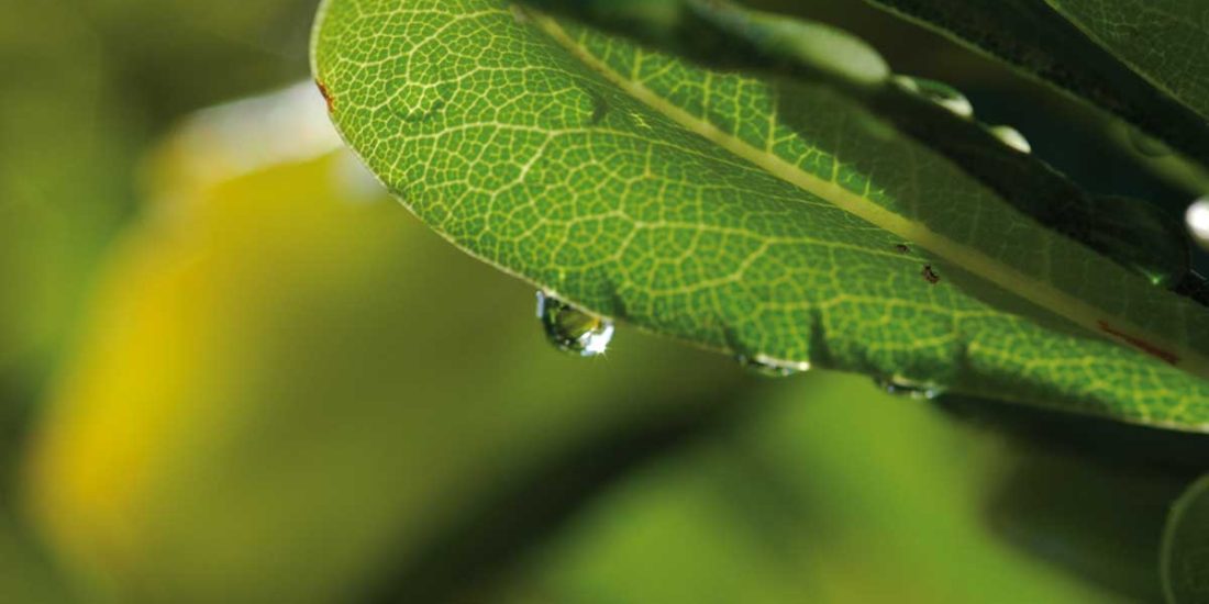 Gruppo Doimo arredo ecologico